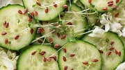 Why cucumber-toasted flax seeds is a must-try recipe