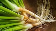 How to use cilantro roots in cooking