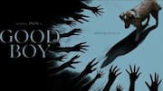 'Good Boy' trailer: Horror film redefines haunted house genre
