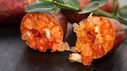Meet finger lime, the fruit with a pearly interior 