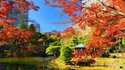 When in Japan, visit these city parks