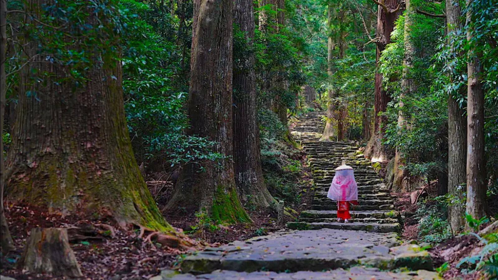 大阪から行ける絶景の週末旅行先