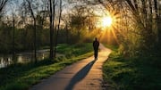 Do evening walks help with weight loss? 