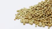 Try roasted yellow peas for a super-filling breakfast