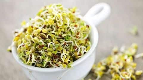 Why should you consume raw sprouts? Some benefits listed Why should you consume raw sprouts? Some benefits listed