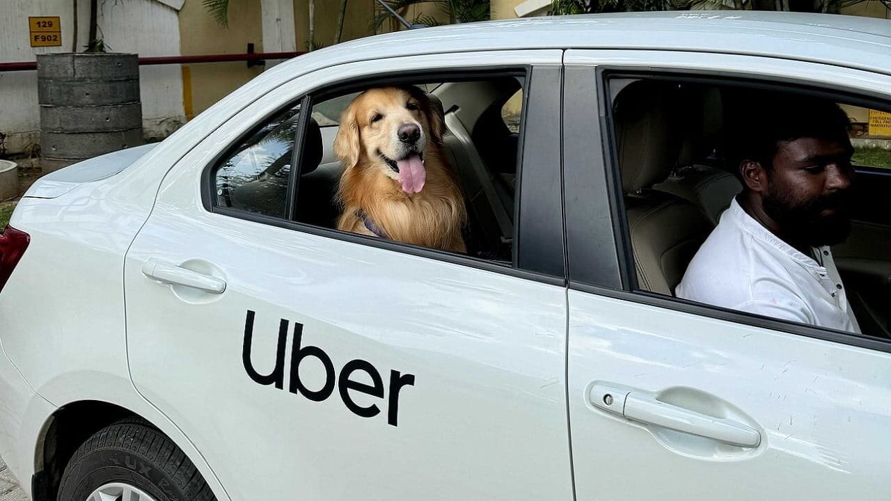 Uber now lets you travel with pets in Bengaluru