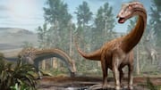 This AI app can identify dinosaur footprints with 90% accuracy