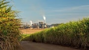 Indian companies can now export 2G ethanol: What is it?