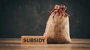 Chinese companies get 8x more subsidies than Indian counterparts