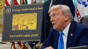 Trump announces Gold, Platinum cards for US: What are they?