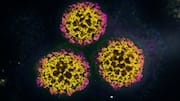 1 in 8 cancer cases linked to preventable infections: Study