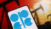 OPEC+ likely to keep oil output policy unchanged for October