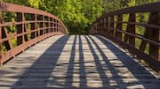 For nature lovers: Why barefoot bridge walks are a must-try