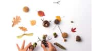 How to create stunning art with seed pods