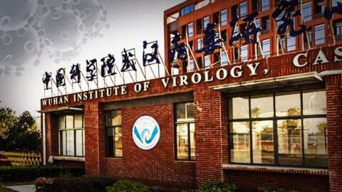 Did COVID-19 escape from Wuhan Lab? New report suggests so Did COVID-19 escape from Wuhan Lab? New report suggests so