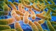 We might be losing the fight against superbugs