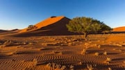 How to explore the Kalahari Desert