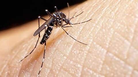 Here's how you can prevent dengue Here's how you can prevent dengue