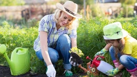 Gardening 101: Easy-to-grow outdoor plants for beginners Gardening 101: Easy-to-grow outdoor plants for beginners