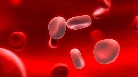 Iron deficiency: How to fight and prevent it Iron deficiency: How to fight and prevent it