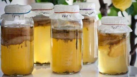 #HealthBytes: All the potential health benefits of Kombucha #HealthBytes: All the potential health benefits of Kombucha