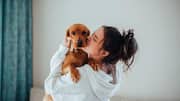 5 DIY room sprays your dog will love