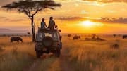 How to experience a sustainable safari 