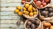 You must add these tubers to your daily diet