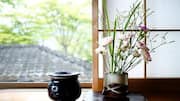 Bring the beauty of ikebana into your home decor
