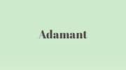 Word of the Day: Adamant