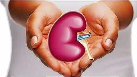 Delhi: Kidneys of poisoned girl save two; first in world Delhi: Kidneys of poisoned girl save two; first in world
