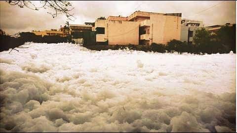 Bengaluru Lake Frothing: Centre seeks CPCB's response over phosphorus pollution Bengaluru Lake Frothing: Centre seeks CPCB's response over phosphorus pollution