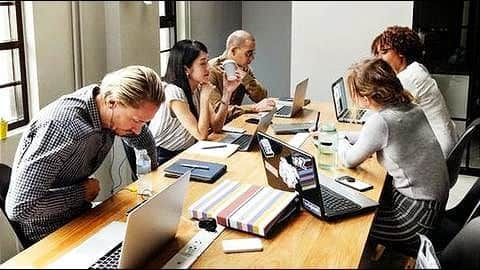 Survey reveals what affects the productivity of most employees Survey reveals what affects the productivity of most employees