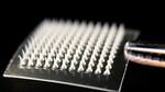 Skin patch responds to blood chemistry, automatically controls glucose