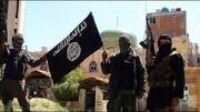 Gujarat: Air hostess allegedly helping ISIS recruits