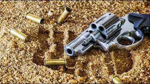 Himachal Pradesh: Wanted criminal killed in encounter, 2 arrested Himachal Pradesh: Wanted criminal killed in encounter, 2 arrested