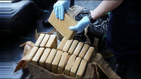 Delhi: Police arrest two drug peddlers; recover 790kg marijuana Delhi: Police arrest two drug peddlers; recover 790kg marijuana