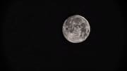 An alien army? UFO hunters spot a 'tank' on moon