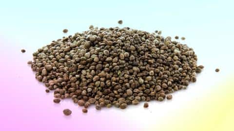 Top 5 health benefits of hemp seeds to know about Top 5 health benefits of hemp seeds to know about
