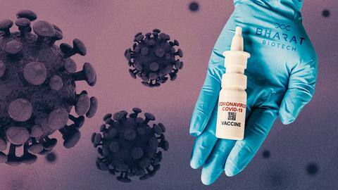 Bharat Biotech's nasal COVID-19 vaccine receives drug regulator's nod Bharat Biotech's nasal COVID-19 vaccine receives drug regulator's nod