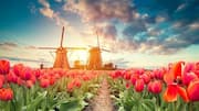 Nature lovers, escape to the peaceful Dutch countryside 