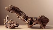 How to create stunning art using driftwood