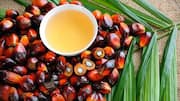 5 traditional dishes featuring palm oil