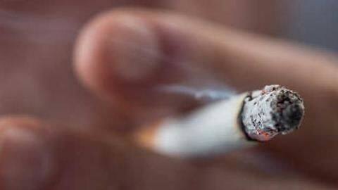 Don't participate in events promoting tobacco: Delhi Government to schools Don't participate in events promoting tobacco: Delhi Government to schools