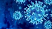 US angling to secure more of Pfizer's coronavirus vaccine