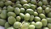 Surprising health benefits of wild olive