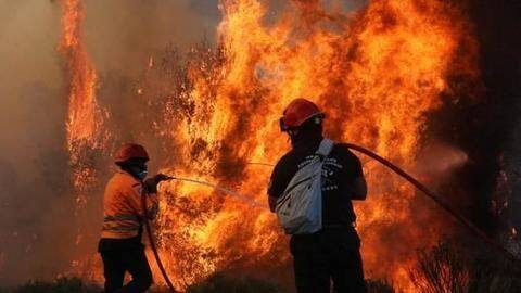 Major fire in north Bengal market, 150 shops gutted Major fire in north Bengal market, 150 shops gutted
