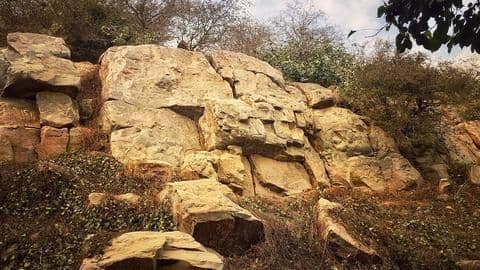 IndiaMART CEO, two others booked for selling Govardhan Hill rocks IndiaMART CEO, two others booked for selling Govardhan Hill rocks