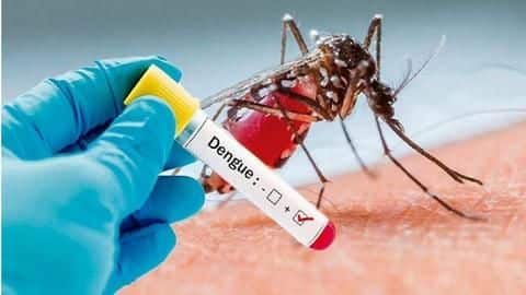 Delhi: Nearly 100 dengue cases this year; 45 in August Delhi: Nearly 100 dengue cases this year; 45 in August