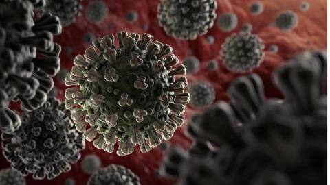 Simple oral hygiene could help reduce COVID-19 severity: Study Simple oral hygiene could help reduce COVID-19 severity: Study